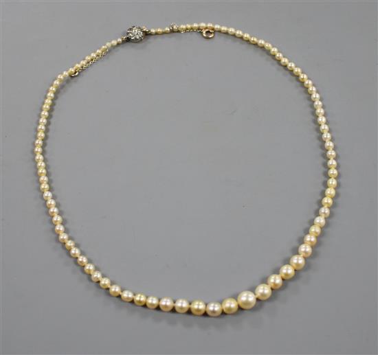 A single strand graduated natural pearl necklace, with old cut diamond cluster set yellow metal clasp.